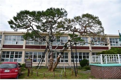 This photo, provided by the Jinju municipal government, shows Jisu Elementary School, where Samsung founder Lee Byung-chull was a student. (PHOTO NOT FOR SALE) (Yonhap)