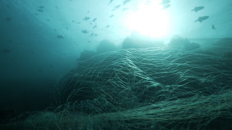Samsung to reuse discarded fishing nets for Galaxy devices
