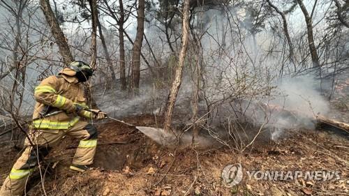 Wildfires burn 521 ha of woodland near inter-Korean border