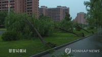 Pyongyang pounded by heavy rains, strong winds