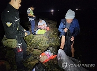 (2nd LD) S. Korea's Coast Guard apprehends 22 Chinese after illegal entry attempt
