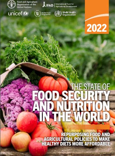 国連の５機関が２０２２年版の「世界の食料安全保障と栄養の現状を発表した＝（聯合ニュース）