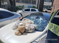 北朝鮮の「汚物風船」　乗用車破損など被害支援策議論へ＝韓国政府　