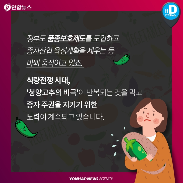 [카드뉴스] "무·배추 종자권 절반은 외국기업 소유"…종자주권 지켜야 - 9