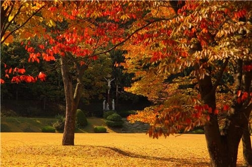 가을 정취 속으로…경기도 가볼만한 곳 9선 | 연합뉴스