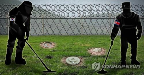 남북 DMZ·판문점 지뢰 제거 (PG) 