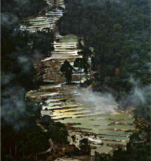 브라질 북부 파라 주의 아마존 열대우림이 불법채광업자들에 의해 심하게 훼손됐다. [브라질 뉴스포털 UOL]