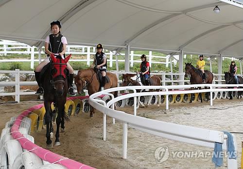 전북도 초중고 학생에 승마 체험비 지원…저소득층은 무료