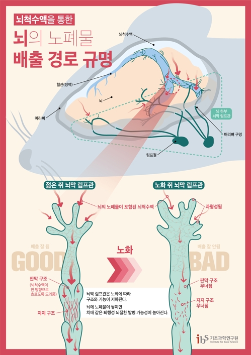 [과학기술정보통신부 제공]