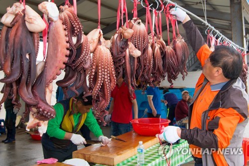 강원 고성군 저도어장 대문어 축제 준비