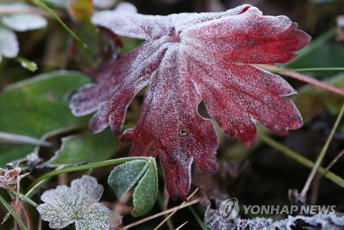 대관령·태백 등 강원산지 내일 아침 영하로 '뚝'