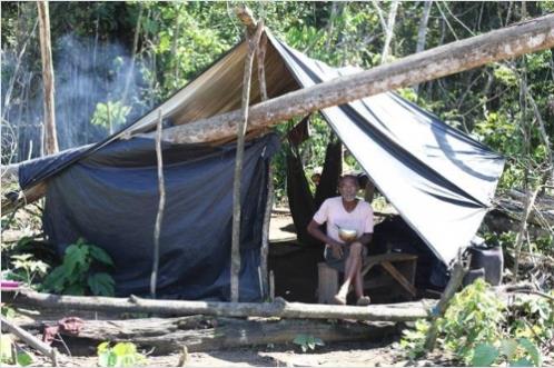 아마존 열대우림의 불법 채광업자들