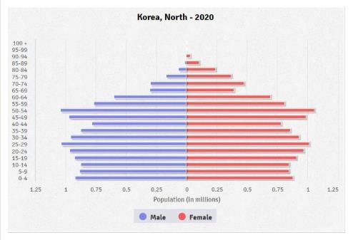 북한 인구구조