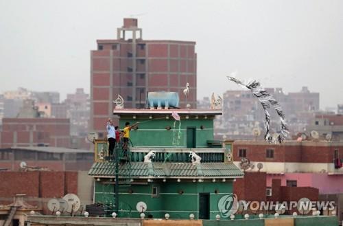 7월 9일(현지시간) 이집트 수도 카이로에서 연을 날리는 어린이들. [로이터=연합뉴스 자료사진]