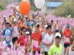 [연합뉴스 자료사진]