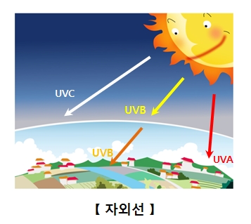 자외선