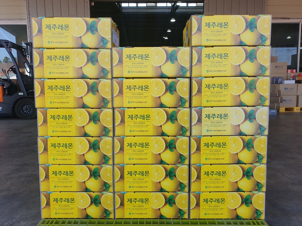 홍콩 수출하는 제주산 레몬