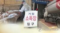 강화·김포 양돈농가, 강원 돼지열병 확산 조짐에 '긴장'