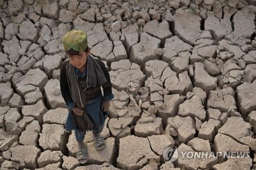 심각한 가뭄에 시달리는 아프간 바드기스주.