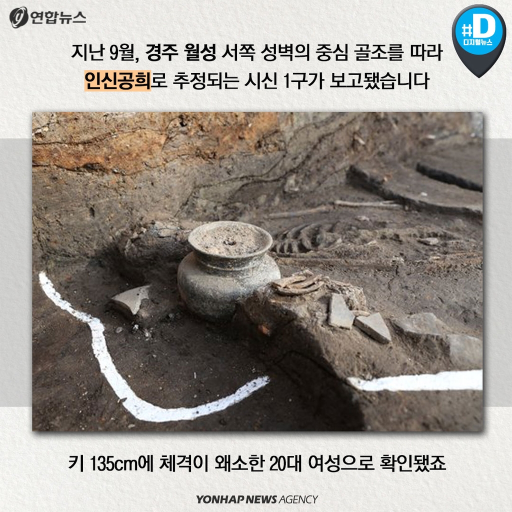 [카드뉴스] 경주 월성서 발견된 135cm 신라 여성, '인간 제물'? - 2