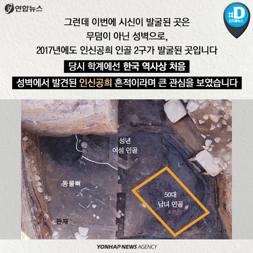 [카드뉴스] 경주 월성서 발견된 135cm 신라 여성, '인간 제물'? - 4