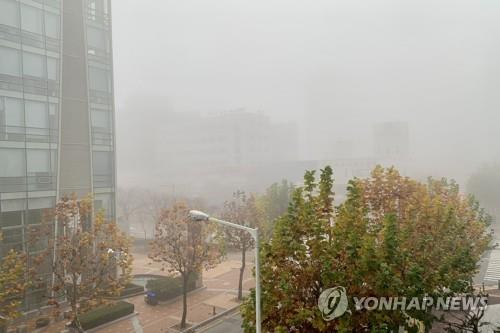 전북 안개 속 미세먼지 '나쁨'…낮 최고 10∼12도