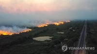 브라질 판타나우 불타는 숲