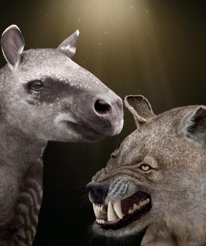 코뿔소-맥 조상 격인 에오세 포유류(왼쪽)와 유제류 조상인 팔레오세 포유류 복원도