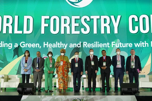 세계산림총회 이틀째, 산림 재원 장관급 포럼 열려