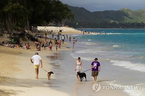 햐와이 해변 풍경 [EPA=연합뉴스 자료사진]