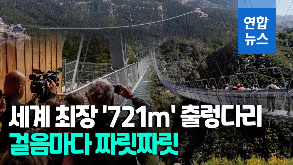 [영상] '길이 721m' 세계 최장 출렁다리 개통…"아드레날린 샘솟아" - 2