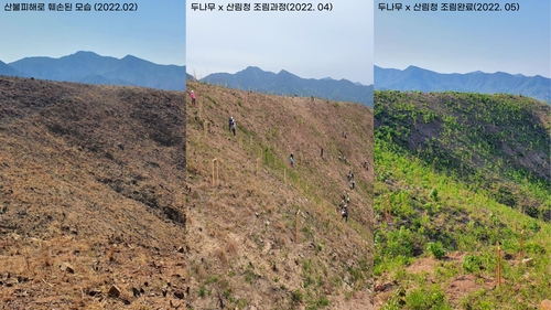 [게시판] 두나무, 산불 피해지역에 1만 그루 식수