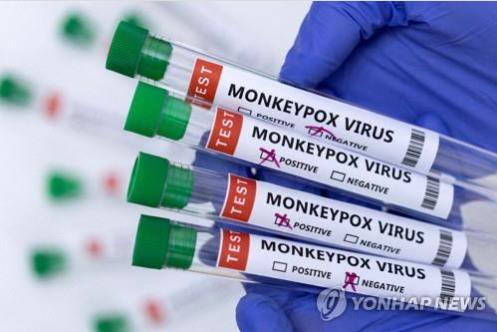 브라질, 원숭이두창 확산에 대응센터 가동…확진 6명·의심 13명