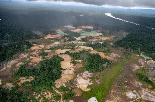 "목숨 건 환경·인권운동"…브라질 삼림지역서 올해 21명 피살