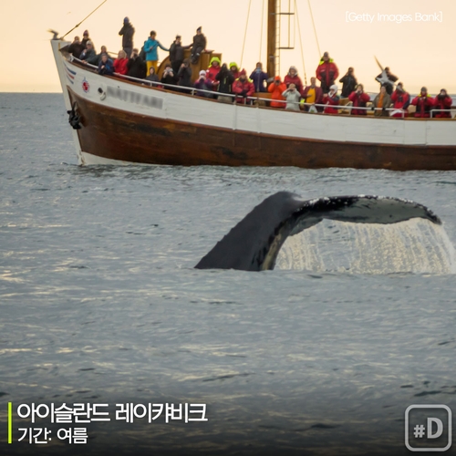 [여행honey] 우영우도 사랑한 고래들을 볼 수 있는 곳 - 7