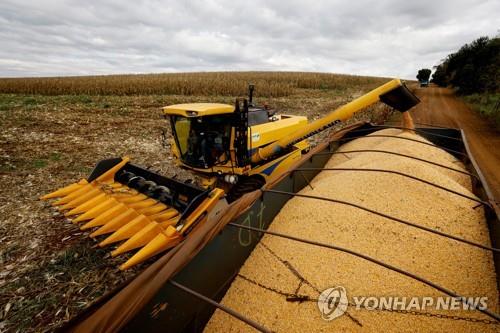 중국, 미국산 곡물 의존도 줄이려 브라질산 옥수수 수입 서둘러