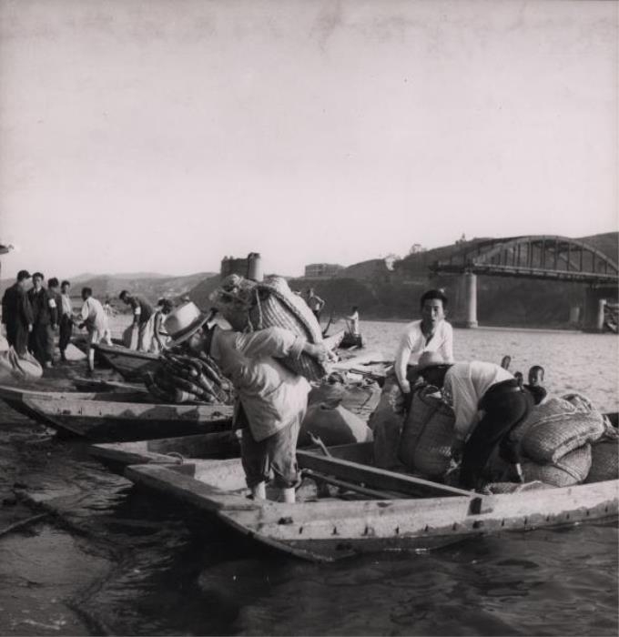 1951년 배급받은 쌀을 등에 얹은 채 한강을 건너는 시민