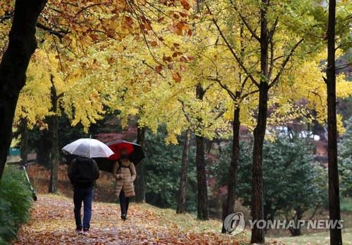 비 오는 휴일