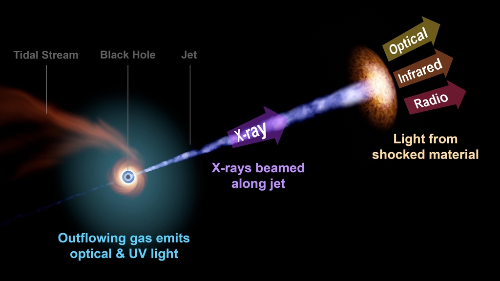 상대론적 제트를 분출하는 블랙홀 TDE의 빛 파장 그래픽 