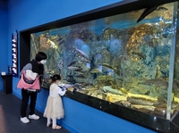 '민물 생태관' 단양다누리아쿠아리움 올해 27만명 방문