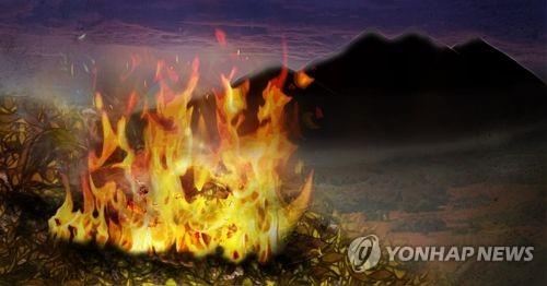 강원 고성서 산불, 산림 0.5㏊ 태우고 1시간 40여 분만에 진화(종합)