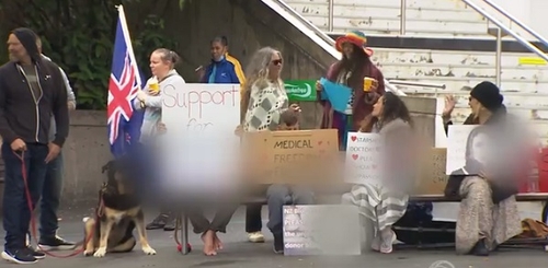 뉴질랜드서 "백신 접종자 피 영아에 수혈 반대" 시위