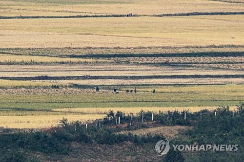 "북한, 지난달 중국산 쌀 3만t 수입…3년 만에 최대"