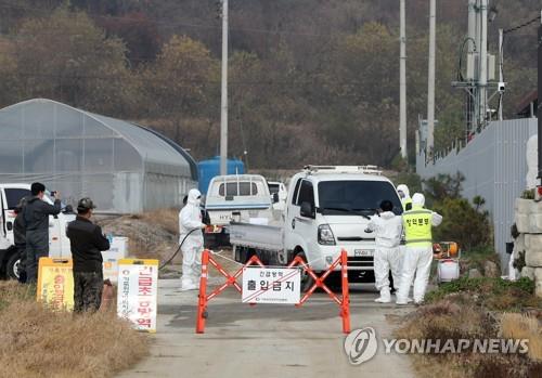 ASF 발생 양돈 농장 출입 통제. [연합뉴스 자료 사진]