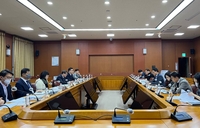 '인태전략 이행' 외교부 TF 발족…준비상황 점검