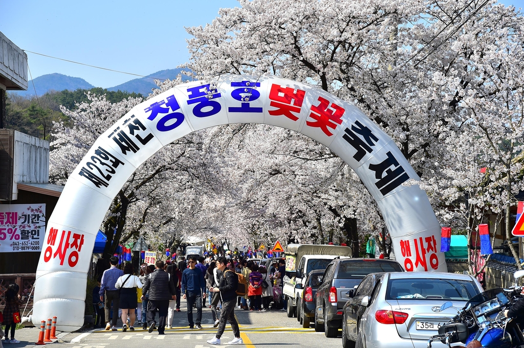2019년 청풍호 벚꽃축제