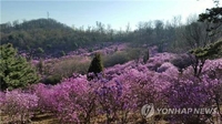 [부천소식] 원미산·도당산·춘덕산 봄꽃축제 내달 개최