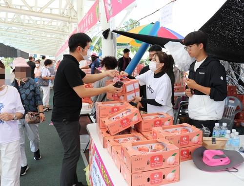 지난해 포도·복숭아 축제