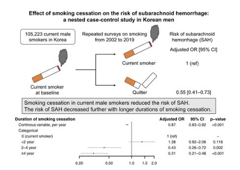 연구팀은 다른 위험 요인을 모두 고려했을 때 흡연자가 금연만 해도 지주막하 출혈 위험이 약 45% 감소하는 것으로 추산했다.[논문 발췌]