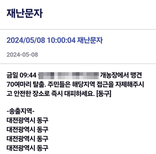 대전 동구 맹견 탈출 재난문자 해프닝…3마리 탈출했다 포획
